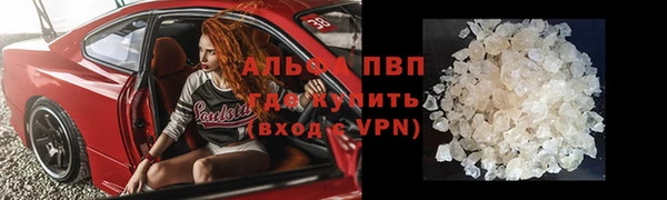 СК Аркадак