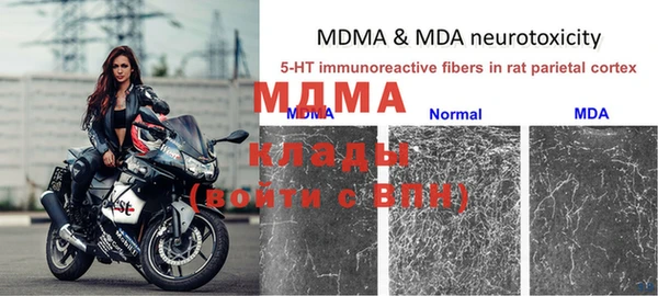 прущая мука Арсеньев