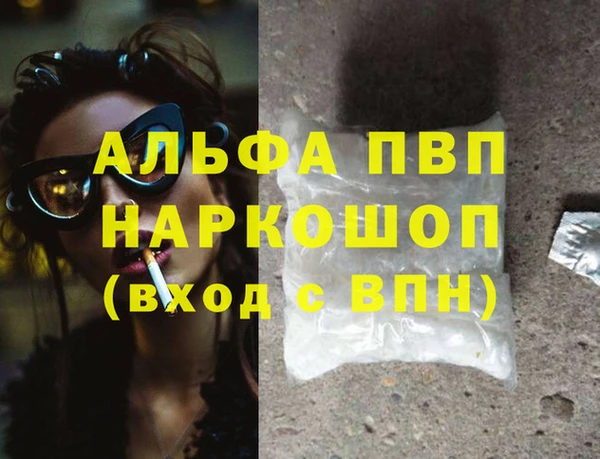 СК Аркадак
