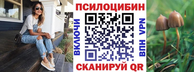 продажа наркотиков  Гурьевск  Псилоцибиновые грибы Cubensis 